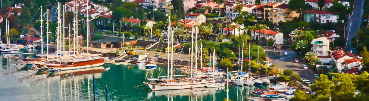 Kingdoms of Anatolia Discovery Day 8